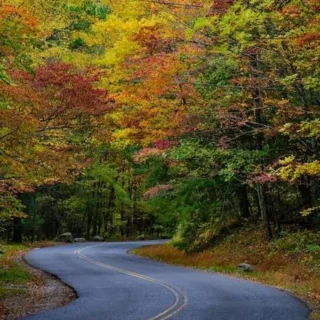 Instagram post 17847938499682889