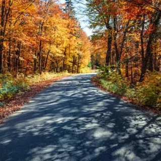 Instagram post 18406028398122487