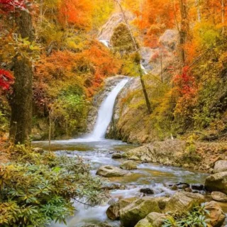 Instagram post 17945398944108167